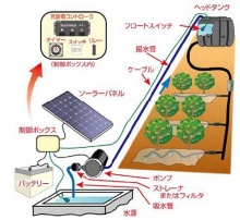 日本農研機構開發出柑橘栽培用太陽能水泵