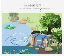 **g水產養殖業**臭氧發生器,臭氧消毒機-廣州市艾利普**設備有限