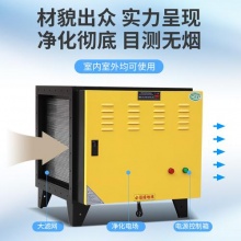 烤漆油煙凈化器4000風量-山東潔潤**設備有限公司