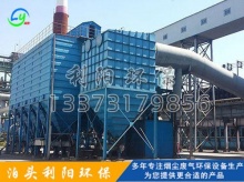脈沖褶式濾筒除塵器,濾筒除塵器_泊頭市利陽**設備有限公司