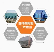 除塵布袋,星型卸料器,插板閥,脈沖除塵器,螺旋輸送機_泊頭市利陽**